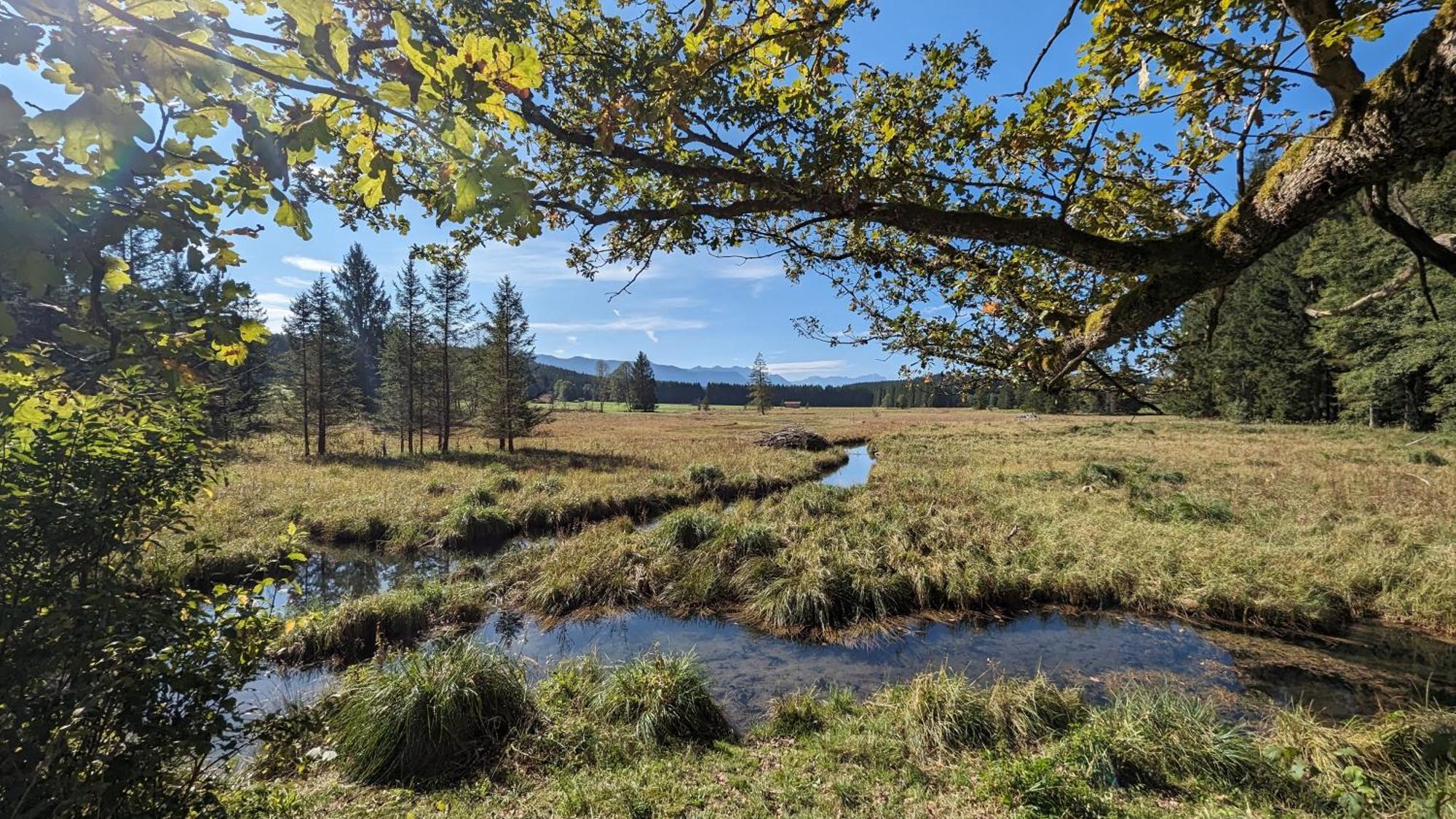 Liboria I Traumhafte Ferienwohnung In Aidling Am Riegsee Mit Atemberaubendem Panoramablick! 外观 照片